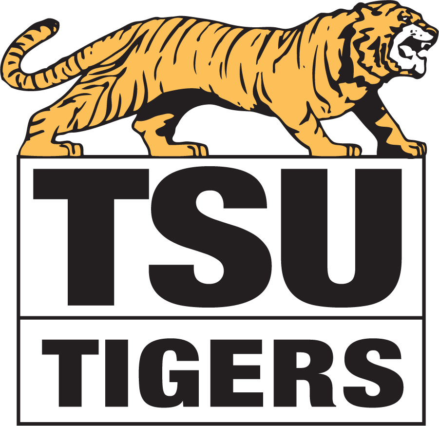 Towson Tigers 1979-1985 Primary Logo diy DTF decal sticker